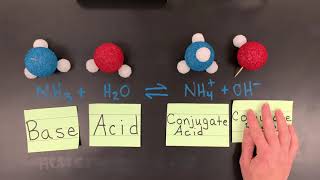 BrønstedLowry Conjugate AcidBase Pairs [upl. by Sydelle]