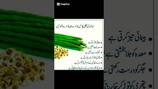 Moringa Ke Fayde  Health Benefits Of Moringa  Sohanjna Benefits In Urdu  Best Way To Use Moringa [upl. by Nnairak]