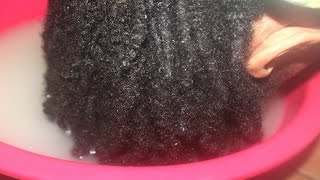 DETOX YOUR LOCS  ACV amp Baking Soda Rinse For Buildup In Locs [upl. by Ellohcin468]