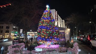 NYC Christmas Walk ✨ Astoria Queens  30th Avenue Steinway Street Broadway [upl. by Yuzik]