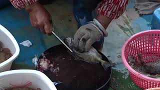 Amazing To Kill Big Siganus Fuscescens With Knife At Floating Seafood Market Of Hong Kong [upl. by Karlotte]