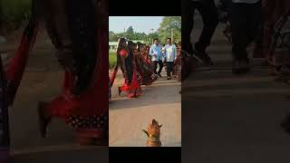 Surabhiswagatpro karjakramschool program new dance trending samblapuri shorts viralvideo [upl. by Helali87]