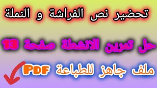 تحضير نص الفراشة و النملة صفحة 18 مع حل تمرين الانشطة صفحة 13💥 لغة عربية الثالثة ابتدائي [upl. by Adnohsar]