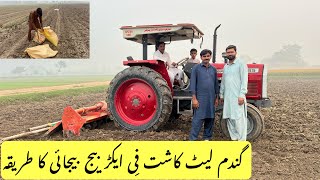 Wheat seed sowing per acre of seed fertilizer and method available [upl. by Wallie]