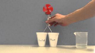 Thermoelectric Effect Demonstration Demonstrator [upl. by Akiraa932]