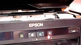 how to reset EPSON L220 Service Required Part1 [upl. by Mercado259]