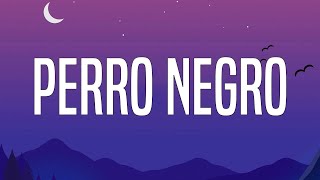 Bad Bunny  PERRO NEGRO Lyrics [upl. by Lidia]