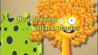 Fungicide No 2 How Do Fungi Attack Plants [upl. by Anaicilef]