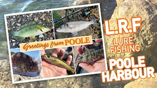 Ultra Light Lure fishing LRF multispecies fishing in Poole Harbour Dorset [upl. by Onairpic]