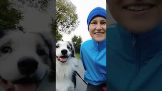 Aufgeregten Hund beruhigen hundeerziehung hundetrainer [upl. by Bashemath]