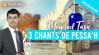 3 Chants de Pessah avec Meydad Tasa amp TorahBox [upl. by Pietra716]