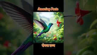 Amazing facts in Hindi factually facts treding viral hindifacts gk glass hummingbird [upl. by Davenport480]