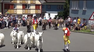 Umzug Jodlerfest Appenzell 2022 [upl. by Nalo]