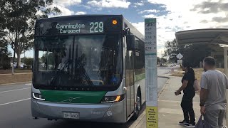 Shopping Route Transperth Bus Route No 229 TP3443 Maddington Central to Cannington Carousel [upl. by Nnyloj]