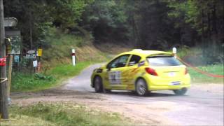 Rallye dAutun 2013 Crash amp Show HD [upl. by Namien]