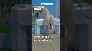 Dekhiae ghoda ka kimat kitna hai kajubarfi [upl. by Narba]