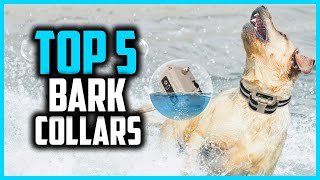 ✅Top 5 Best Bark Collars for Dogs Reviews 2024 [upl. by Lihp528]