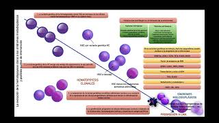 Sesión 3 Trombocitopenia asociada a MDS [upl. by Chevalier]