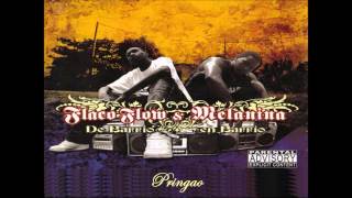 Flaco Flow y Melanina  Pringao Audio [upl. by Vidovic]