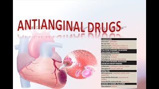 Antianginal drugs  Pharmacology Lippincott Illustrated Reviews Series [upl. by Dorion]