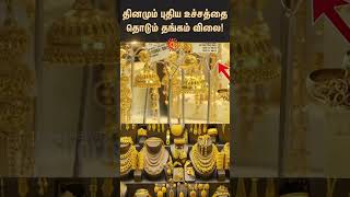 Gold price hits new high every day  Today Gold Rate  Gold Price  Silver Rate  Sunnews [upl. by Nichani959]