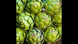 2018 How to Propagate Artichokes [upl. by Zoubek]