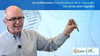 La main Les préhensions Les prises pluridigitales [upl. by Magdalena]