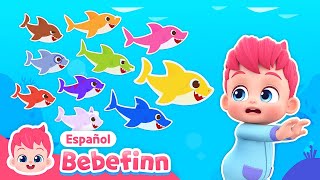 Diez Tiburoncitos🦈  Bebefinn con Tiburón Bebé  Canciones Infantiles  Bebefinn en español [upl. by Sorips83]