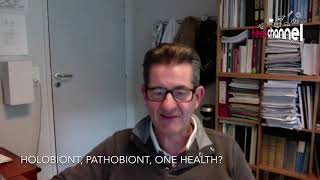 Microbiota holobiont pathobiont Dr Hervé Blottière [upl. by Mckenzie]