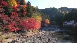 Korankei Momiji Matsuri [upl. by Ayela]