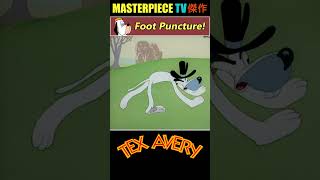 Foot Puncture of Truant Officer by Screwy Squirrel 📌  Tex Avery ᴴᴰ [upl. by Steinway]