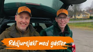 Rådjursjakt med gäster  4K [upl. by Ru]