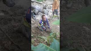 Berburu babi hutan saat penangkapan [upl. by Nodnalb]