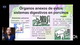 Anatomia y Fisiologia de Monogastricos [upl. by Ellevehs]