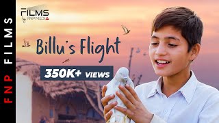 Billus Flight  Award Winning Short Film I FNP Media  Films by FNP Media [upl. by Luhar]