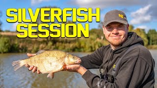 Pole Fishing For Skimmers  session Video [upl. by Babb]