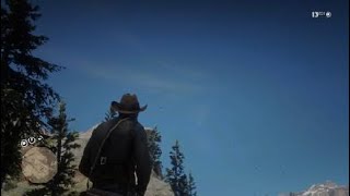 Red Dead Redemption 2Roughlegged hawk location [upl. by Nnybor]