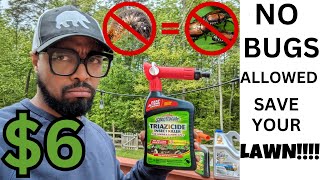 Spectracide Triazicide Insect Killer For Lawns amp Landscapes REVIEW [upl. by Ellingston437]