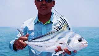 Offshore Marlin amp Inshore Fly Fishing Highlight Reel  ZANCUDO LODGE [upl. by Roselia]