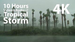 4K UHD 10 hours  Tropical Storm window for ambience  relaxation meditation nature [upl. by Arotal112]