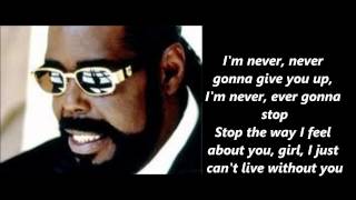 Barry White Never Never Gonna Give You Up Lyrics [upl. by Brenk]