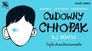 quotCudowny chłopakquot  audiobook [upl. by Lamhaj84]