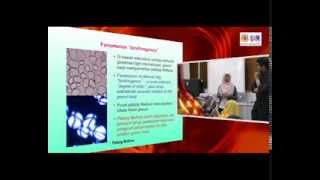 IMK421 Lecture 3  4th October 2012 — Molecular Organization amp Granule Architecture [upl. by Matusow]