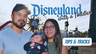 Going to Disneyland with a Toddler  Tips amp Tricks [upl. by Acsot]