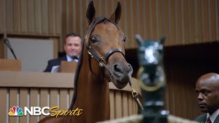 Champions born bred and bid on in Kentucky  All In Road to the Breeders Cup Classic  NBC Sports [upl. by Harcourt]