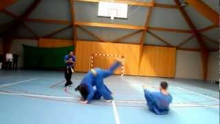 Démonstration Vovinam Viet Vo Dao Bousies [upl. by Tews]