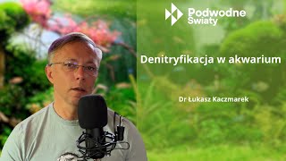 Dr Łukasz Kaczmarek Denitryfikacja w akwarium [upl. by Amleht]