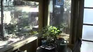 Ideas on enclosing your back porch by Freedoms Garden [upl. by Okim]