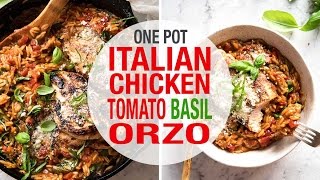 One Pot Italian Chicken amp Risoni  Orzo [upl. by Aennaej235]