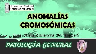 ANOMALÍAS CROMOSÓMICAS [upl. by Aneez]